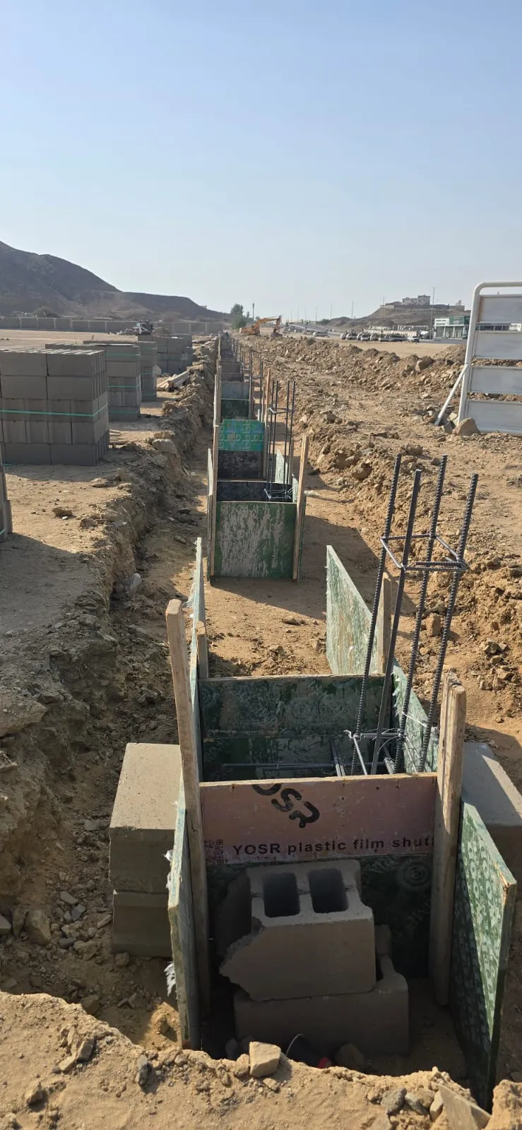 الفنية
